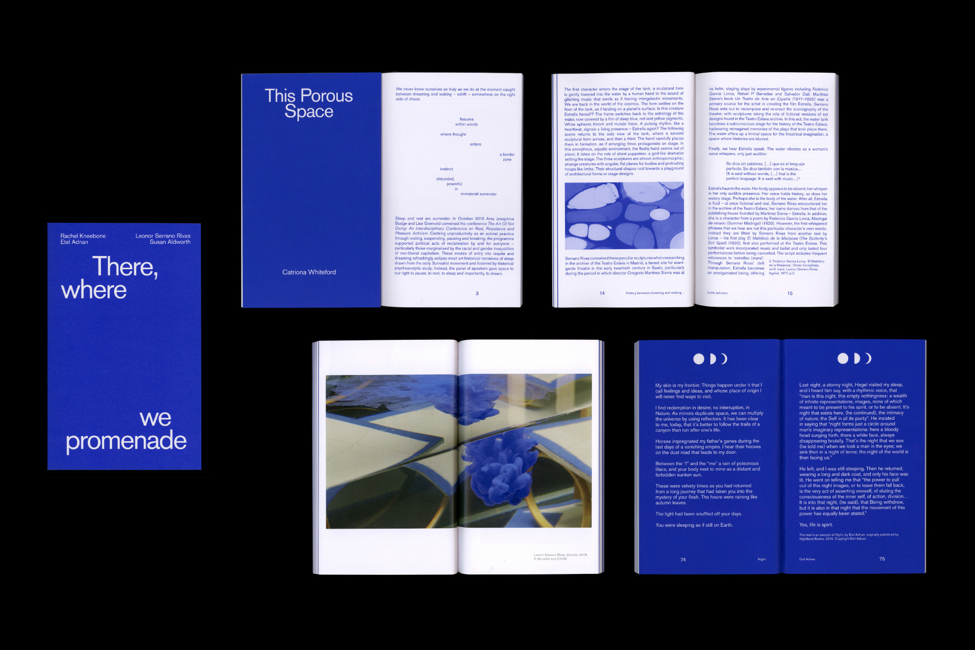 Blue and white book, pages of exhibition catalogue, Graphic design, nicholas bennett, varv varv