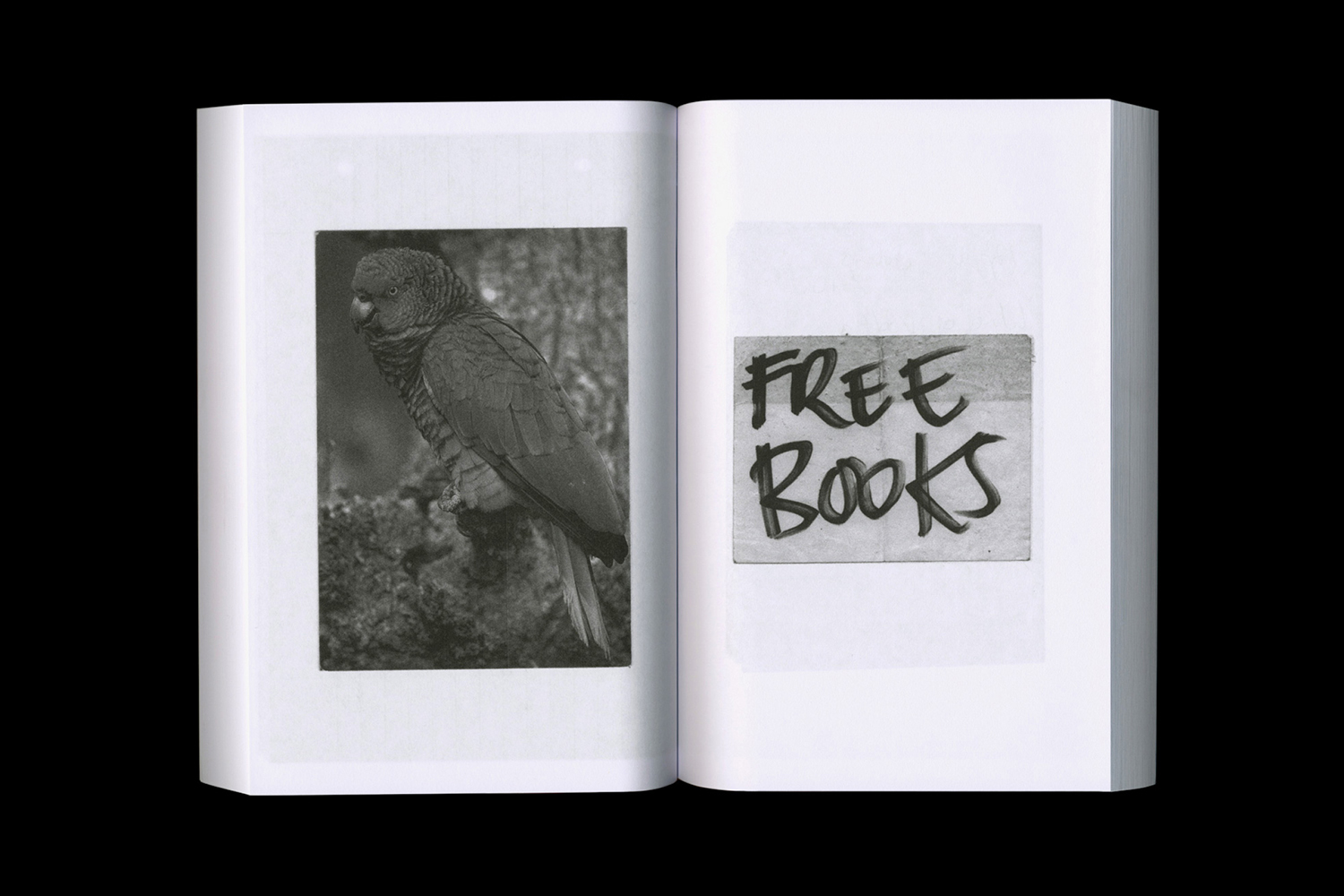 Black and white book pages, free books and parrot, Lists, found notes, design, Nicholas Bennett