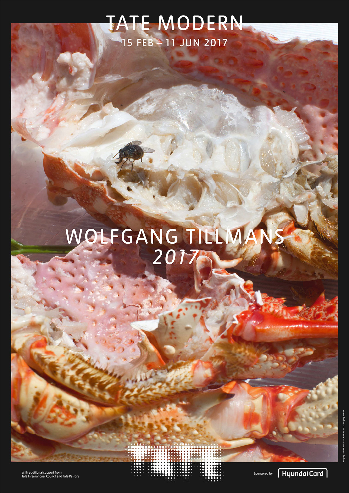 Wolfgang Tillmans exhibition poster, seafood, Tate Modern, 2017, Nicholas Bennett, Graphic Design